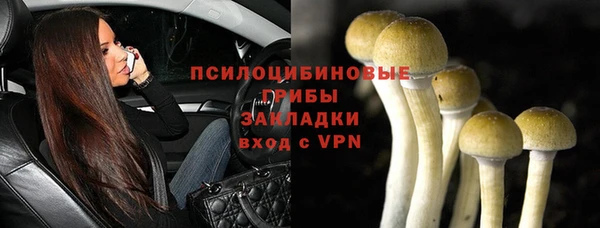 дурь Алексин