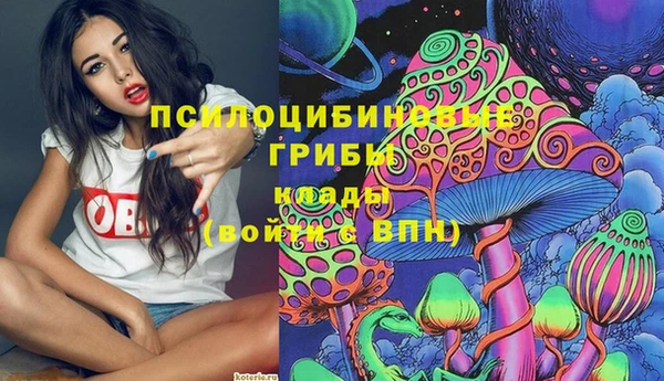 дживик Алзамай