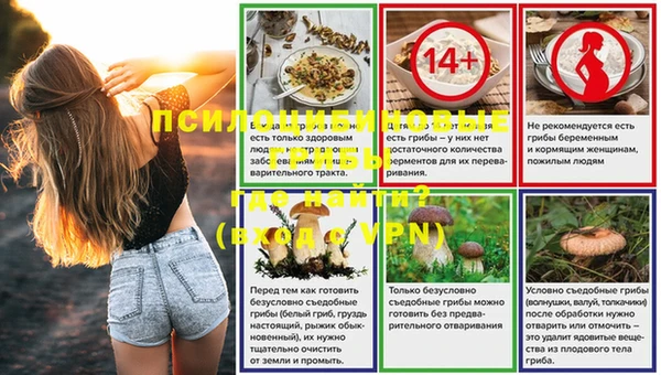 дурь Алексин
