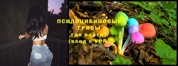 крисы Алексеевка